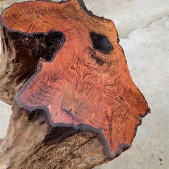 贵州名木黄花梨2号精品花纹好造型